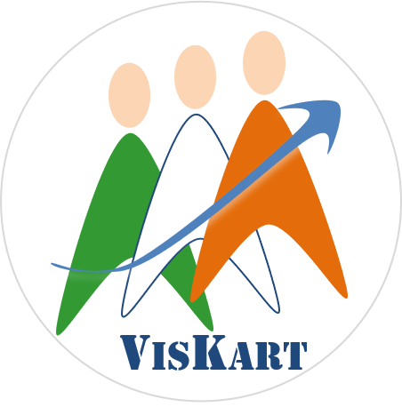 VisKart Emblem-2